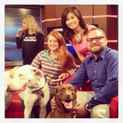 Gracie & Luna get a psychic pet reading on FOX 5's Morning News on August 19, 2013.
